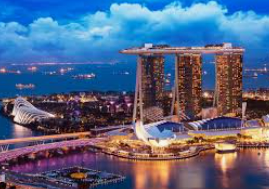 世界杯下单平台网站官网正式版