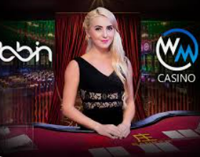 世界杯下单平台网站官网2024最新版